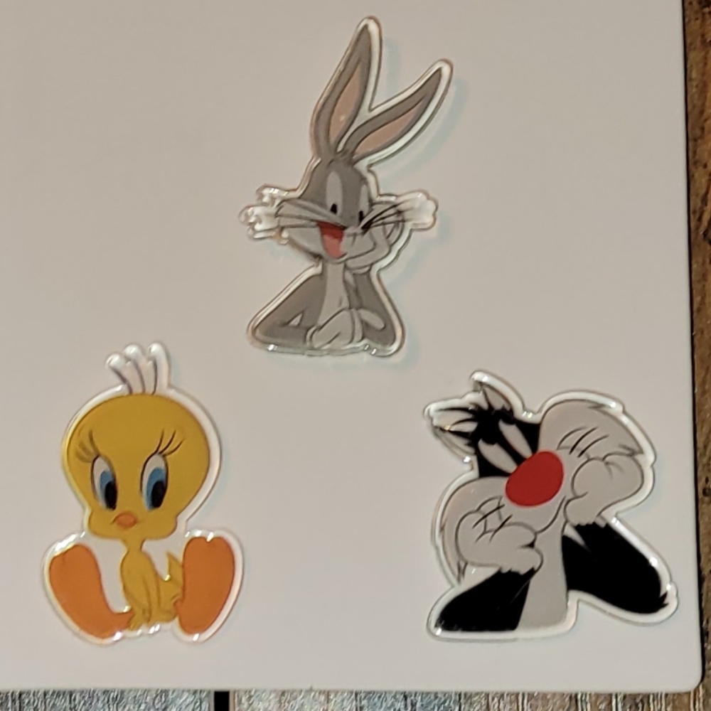 NWOT pins